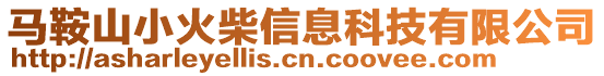 馬鞍山小火柴信息科技有限公司