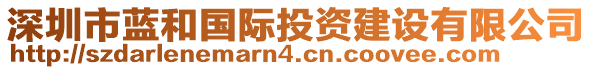 深圳市藍(lán)和國際投資建設(shè)有限公司