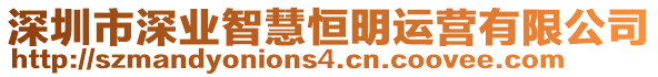 深圳市深業智慧恒明運營有限公司