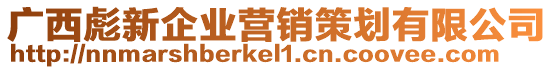 廣西彪新企業(yè)營銷策劃有限公司