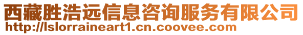 西藏勝浩遠信息咨詢服務有限公司