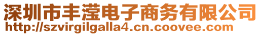 深圳市豐瀅電子商務(wù)有限公司