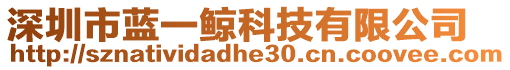 深圳市藍(lán)一鯨科技有限公司