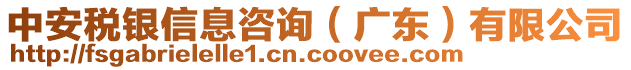 中安稅銀信息咨詢（廣東）有限公司