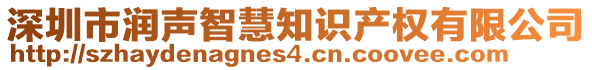 深圳市潤聲智慧知識產(chǎn)權(quán)有限公司