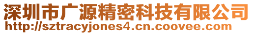 深圳市廣源精密科技有限公司