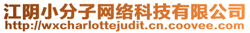 江陰小分子網(wǎng)絡(luò)科技有限公司