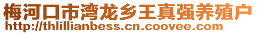 梅河口市灣龍鄉(xiāng)王真強(qiáng)養(yǎng)殖戶