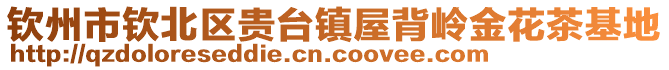 钦州市钦北区贵台镇屋背岭金花茶基地