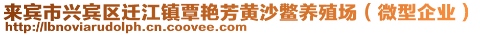 來賓市興賓區(qū)遷江鎮(zhèn)覃艷芳黃沙鱉養(yǎng)殖場（微型企業(yè)）