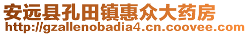 安远县孔田镇惠众大药房