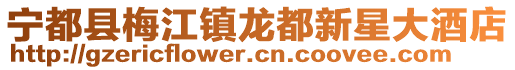 宁都县梅江镇龙都新星大酒店