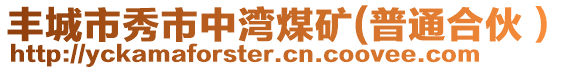 豐城市秀市中灣煤礦(普通合伙）