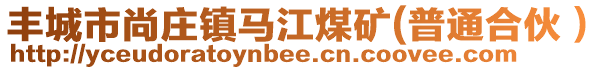 豐城市尚莊鎮(zhèn)馬江煤礦(普通合伙）