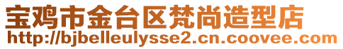 寶雞市金臺(tái)區(qū)梵尚造型店