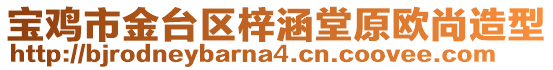 宝鸡市金台区梓涵堂原欧尚造型