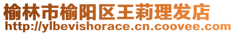 榆林市榆陽(yáng)區(qū)王莉理發(fā)店