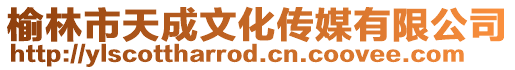 榆林市天成文化傳媒有限公司