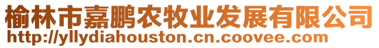 榆林市嘉鵬農(nóng)牧業(yè)發(fā)展有限公司