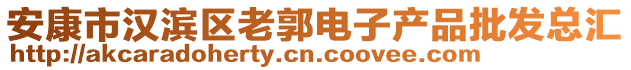 安康市漢濱區(qū)老郭電子產(chǎn)品批發(fā)總匯