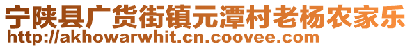 寧陜縣廣貨街鎮(zhèn)元潭村老楊農(nóng)家樂