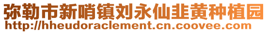 彌勒市新哨鎮(zhèn)劉永仙韭黃種植園