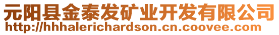 元陽縣金泰發(fā)礦業(yè)開發(fā)有限公司