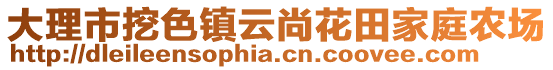 大理市挖色鎮(zhèn)云尚花田家庭農(nóng)場