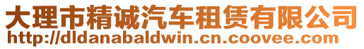 大理市精誠汽車租賃有限公司