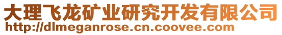 大理飛龍礦業(yè)研究開發(fā)有限公司