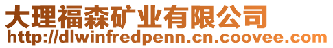 大理福森礦業(yè)有限公司