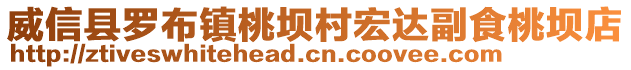 威信县罗布镇桃坝村宏达副食桃坝店