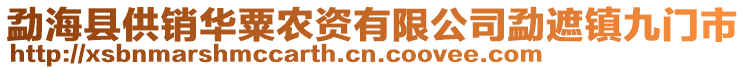 勐海县供销华粟农资有限公司勐遮镇九门市