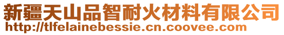 新疆天山品智耐火材料有限公司