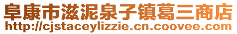 阜康市滋泥泉子镇葛三商店