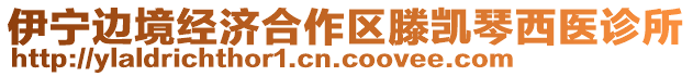 伊寧邊境經(jīng)濟(jì)合作區(qū)滕凱琴西醫(yī)診所