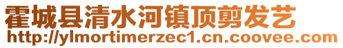 霍城县清水河镇顶剪发艺