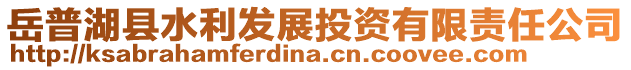 岳普湖县水利发展投资有限责任公司