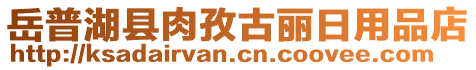 岳普湖縣肉孜古麗日用品店