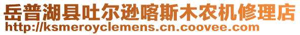 岳普湖縣吐爾遜喀斯木農(nóng)機(jī)修理店