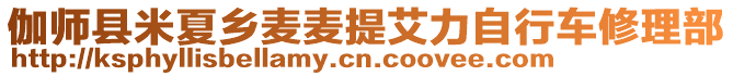 伽師縣米夏鄉(xiāng)麥麥提艾力自行車(chē)修理部