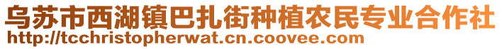 烏蘇市西湖鎮(zhèn)巴扎街種植農(nóng)民專業(yè)合作社