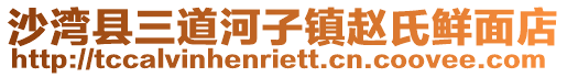 沙湾县三道河子镇赵氏鲜面店