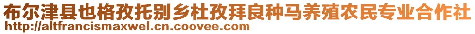 布爾津縣也格孜托別鄉(xiāng)杜孜拜良種馬養(yǎng)殖農(nóng)民專業(yè)合作社