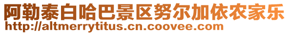 阿勒泰白哈巴景區(qū)努爾加依農(nóng)家樂(lè)