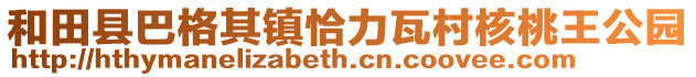 和田县巴格其镇恰力瓦村核桃王公园