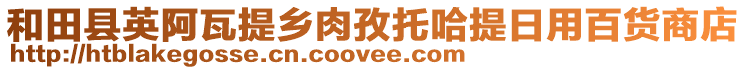 和田县英阿瓦提乡肉孜托哈提日用百货商店