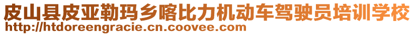 皮山縣皮亞勒瑪鄉(xiāng)喀比力機(jī)動(dòng)車(chē)駕駛員培訓(xùn)學(xué)校