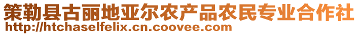 策勒縣古麗地亞爾農(nóng)產(chǎn)品農(nóng)民專業(yè)合作社