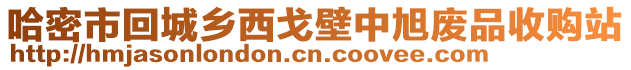 哈密市回城鄉(xiāng)西戈壁中旭廢品收購站